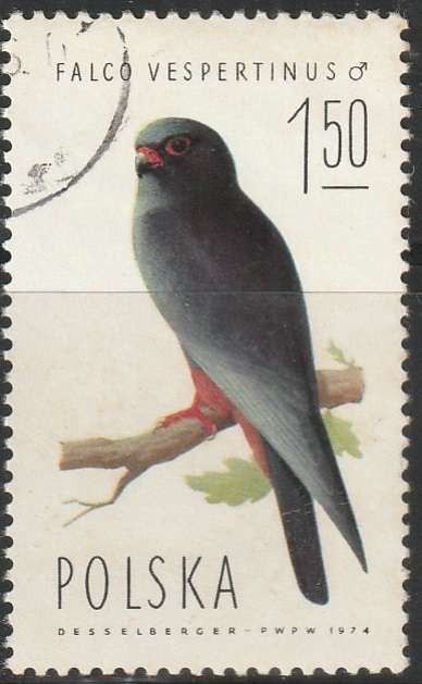 THEMATIC BIRDS POLAND ULH