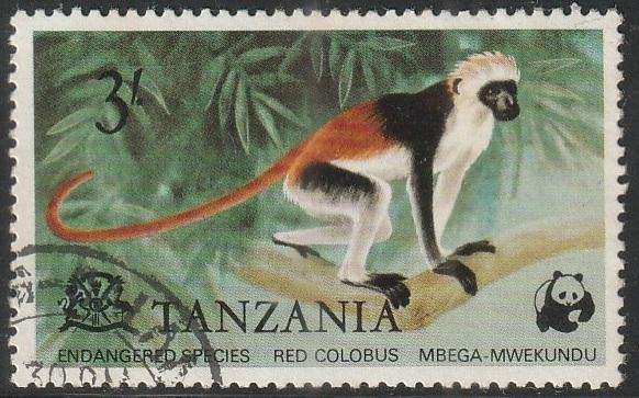 THEMATIC ANIMALS TANZANIA ULH