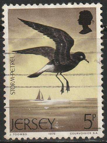THEMATIC BIRDS JERSEY UNH