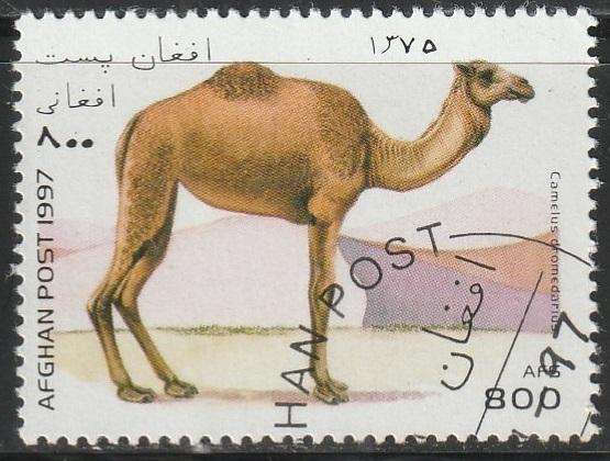 THEMATIC ANIMALS AFGANISTAN ULH