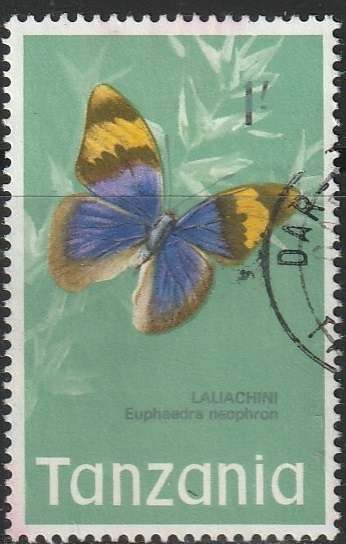 THEMATIC BUTTERFLIES TANZANIA ULH