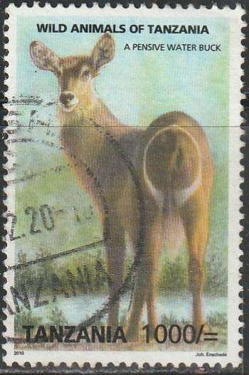 THEMATIC ANIMALS TANZANIA VFU