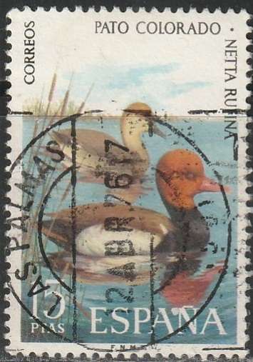 THEMATIC BIRDS SPAIN ULH