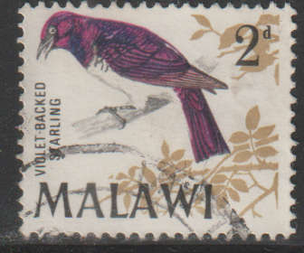 THEMATIC BIRDS MALAWI ULH