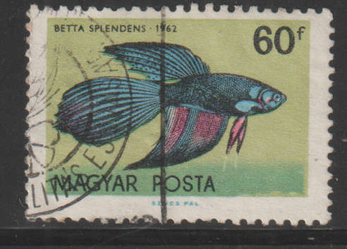 THEMATIC FISH HUNGARY ULH
