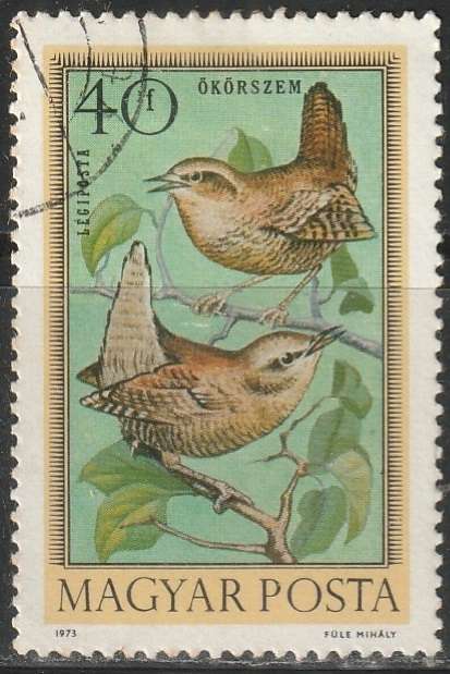 THEMATIC BIRDS HUNGARY ULH