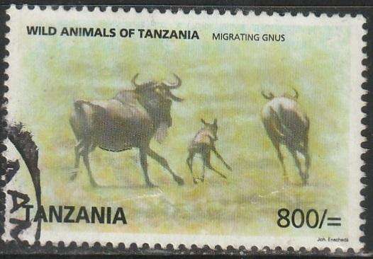 THEMATIC ANIMALS TANZANIA VFU