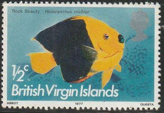 THEMATIC FISH VIRGIN ISLANDS UMM