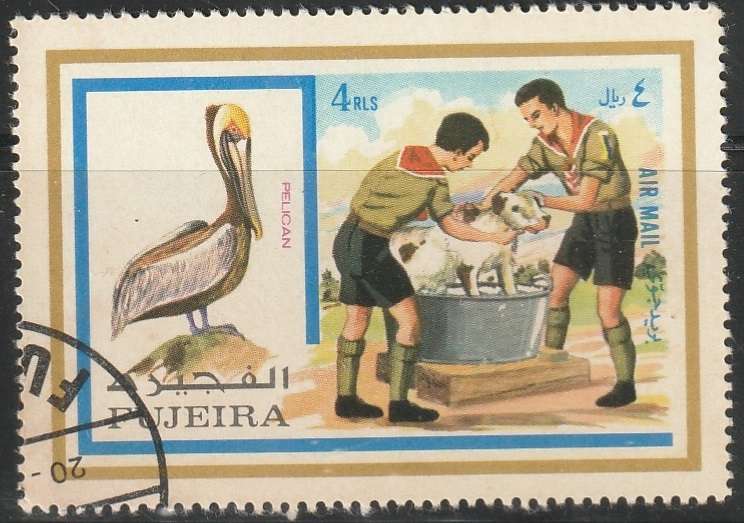 THEMATIC BIRDS FUJEIRA ULH