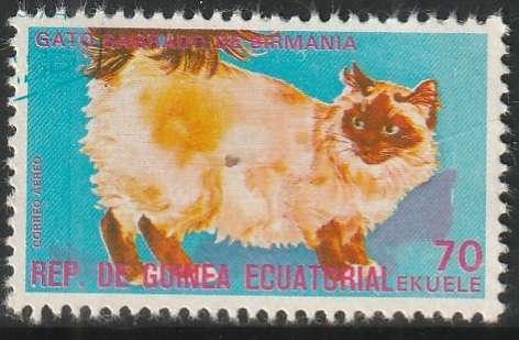 THEMATIC CATS EQUATORIAL GUINEA CTO