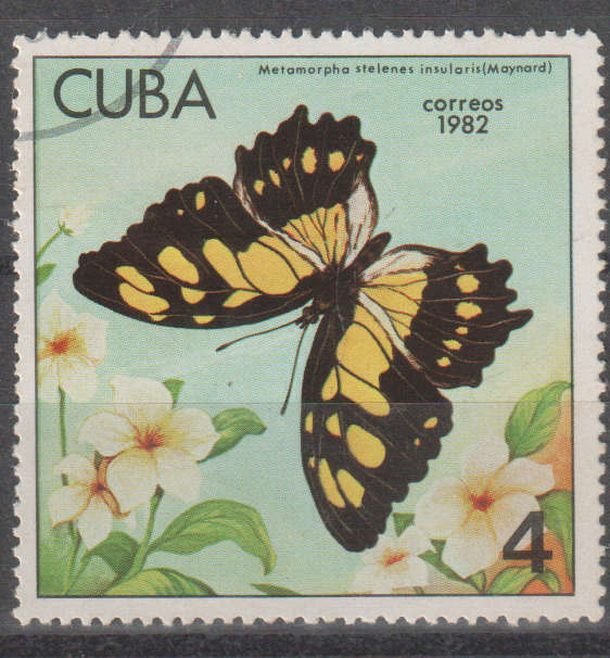 THEMATIC BUTTERFLIES CUBA ULH