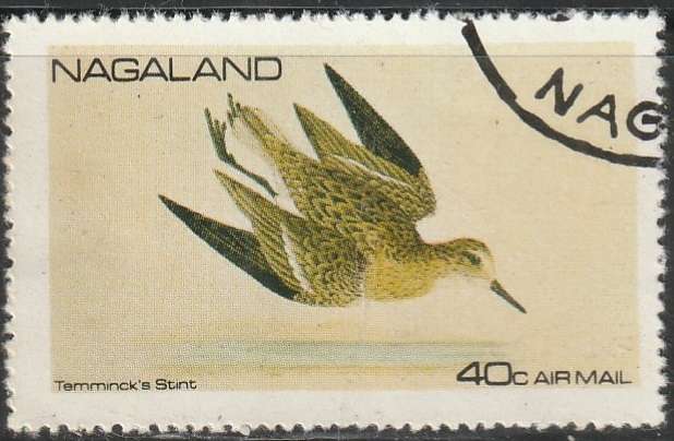 THEMATIC BIRDS NAGALAND ULH