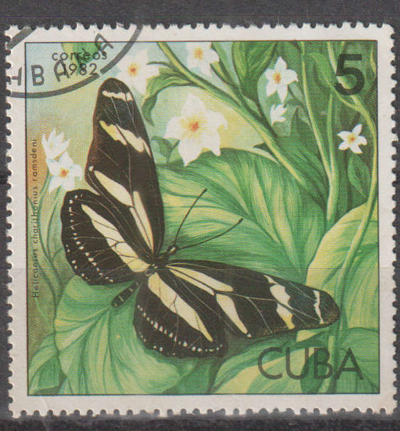 THEMATIC BUTTERFLIES CUBA ULH