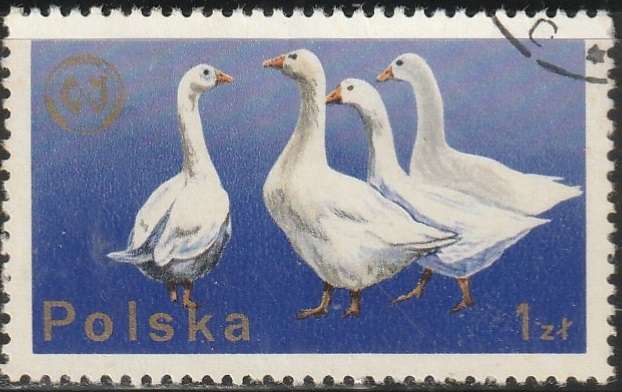 THEMATIC BIRDS POLAND ULH