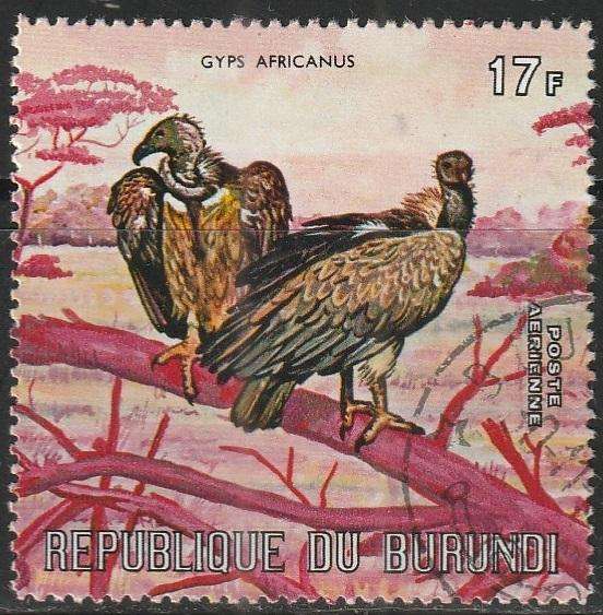 THEMATIC BIRDS EQUATORIAL GUINEA ULH