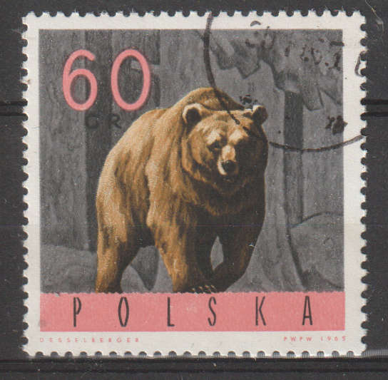 THEMATIC ANIMALS POLAND ULH