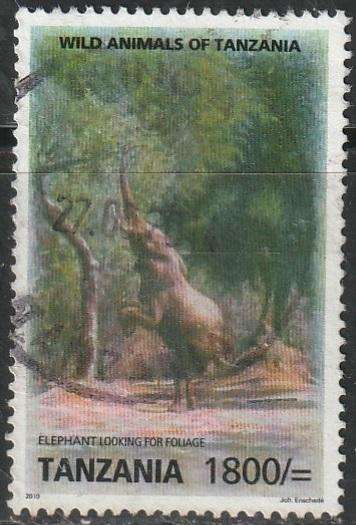 THEMATIC ANIMALS TANZANIA VFU