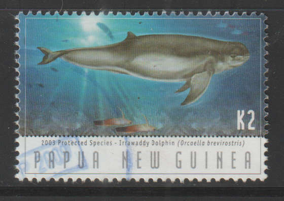 THEMATIC MARINE LIFE PAPUA NEW GUINEA ULH