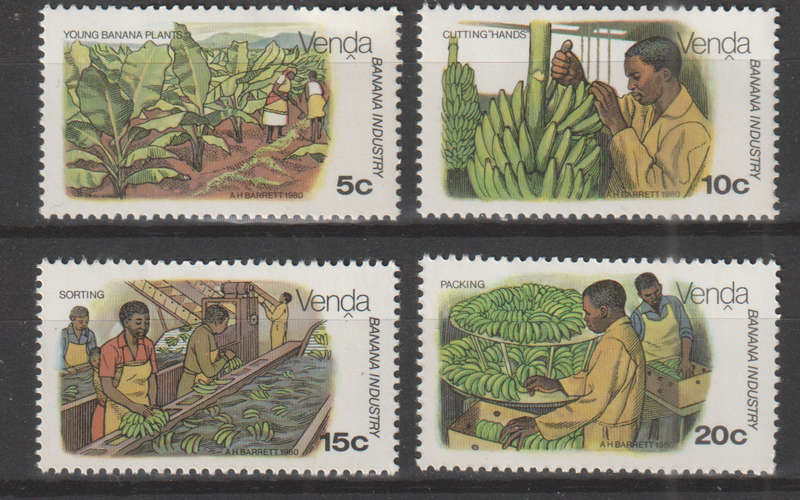 VENDA 1980 Banana Cultivation UMM