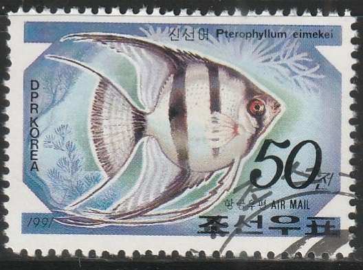 THEMATIC FISH KOREA ULH