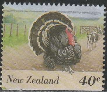 THEMATIC BIRDS NEW ZEALAND ULH