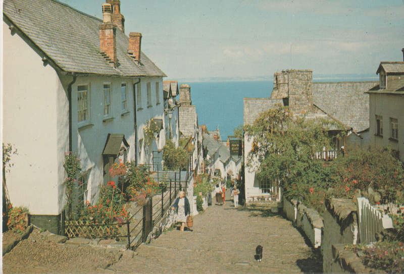 MINT POST CARD