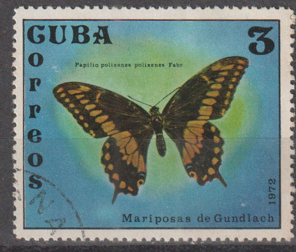 THEMATIC BUTTERFLIES CUBA ULH