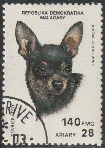 THEMATIC DOGS MALAGASY ULH