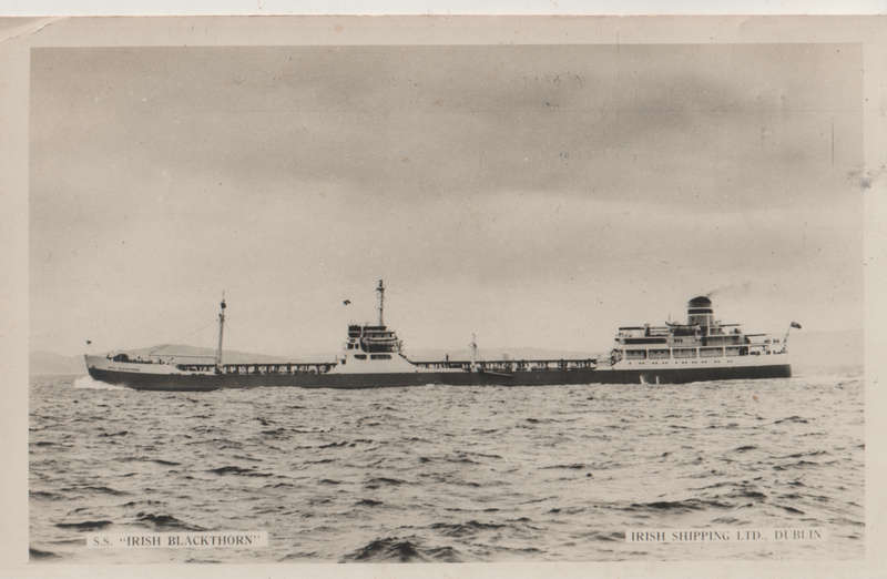 MINT REAL PHOTO POST CARD IRISH SHIPPING LTD SS IRISH BLACKTHORN