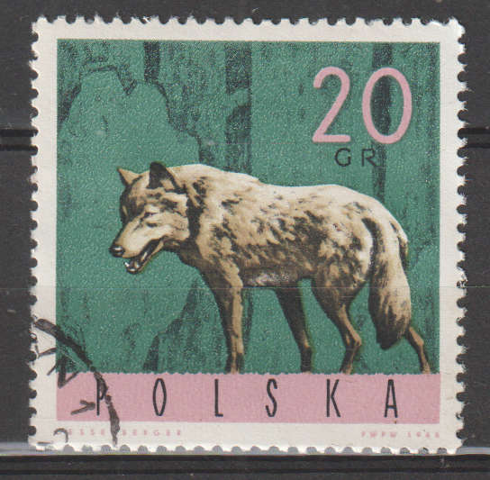 THEMATIC ANIMALS POLAND ULH