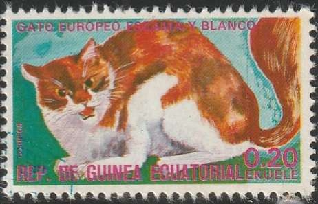 THEMATIC CATS EQUATORIAL GUINEA CTO