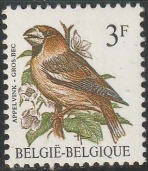 THEMATIC BIRDS BELGIUM UMM