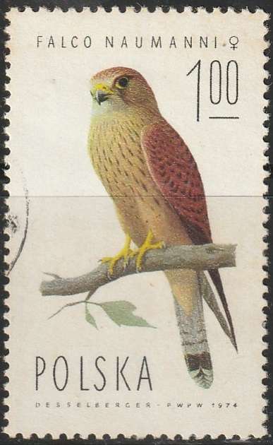 THEMATIC BIRDS POLAND ULH