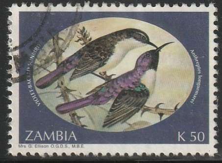 THEMATIC BIRDS ZAMBIA ULH