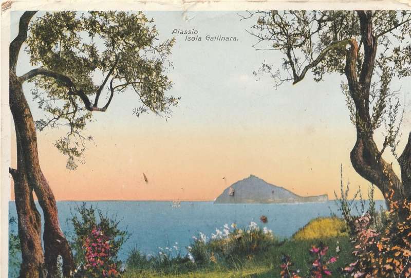 MINT POST CARD
