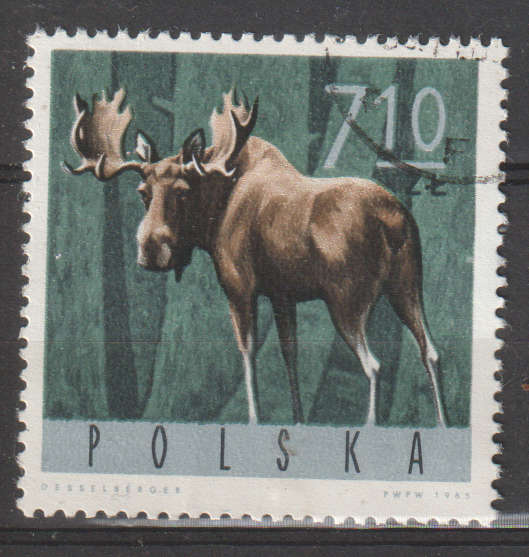 THEMATIC ANIMALS POLAND ULH