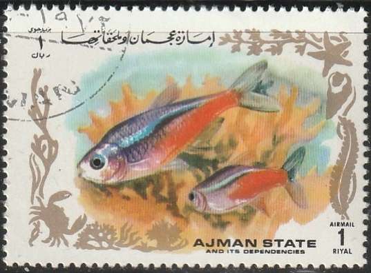 THEMATIC FISH AJMAN ULH