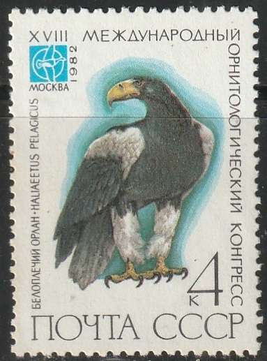 THEMATIC BIRDS RUSSIA UNH