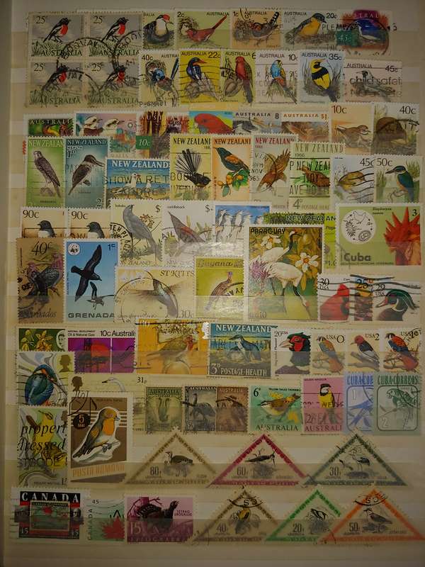 USED A4 STOCKBOOK 16/32 PAGES LOADED WITH WORLD STAMPS WRITING ON PAGES STAMPS GOOD VALUE