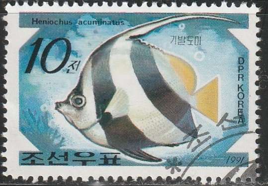 THEMATIC FISH KOREA ULH