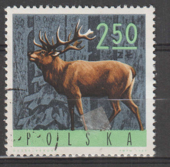 THEMATIC ANIMALS POLAND ULH