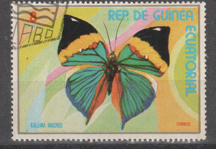 THEMATIC BUTTERFLIES EQUATORIAL GUINEA ULH