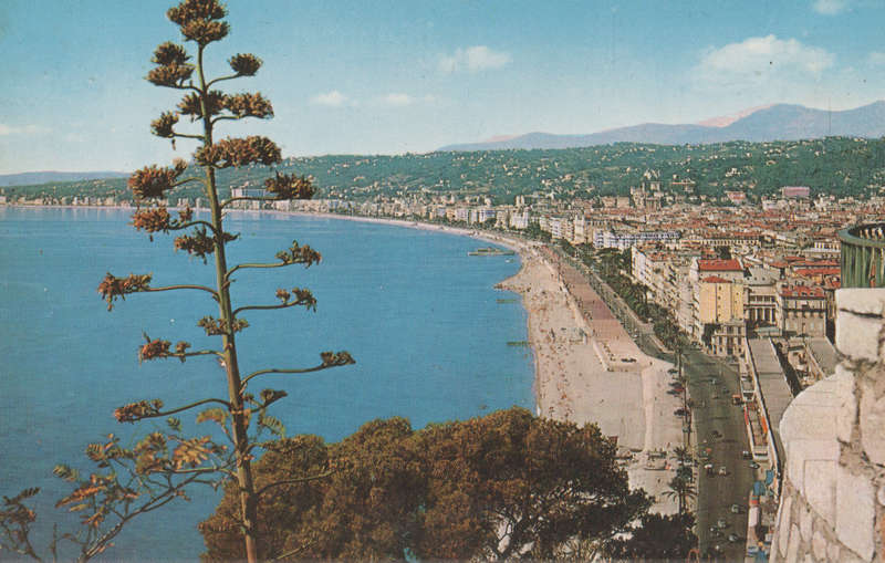 MINT POST CARD FRANCE
