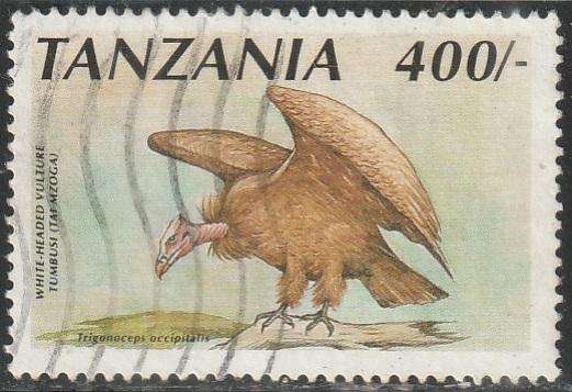 THEMATIC BIRDS TANZANIA VFU