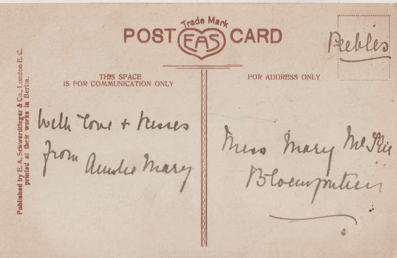 USED POST CARD CATS