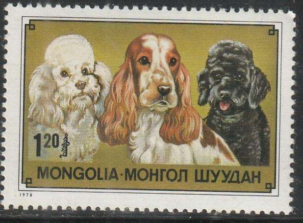 THEMATIC DOGS MONGOLIA UMM