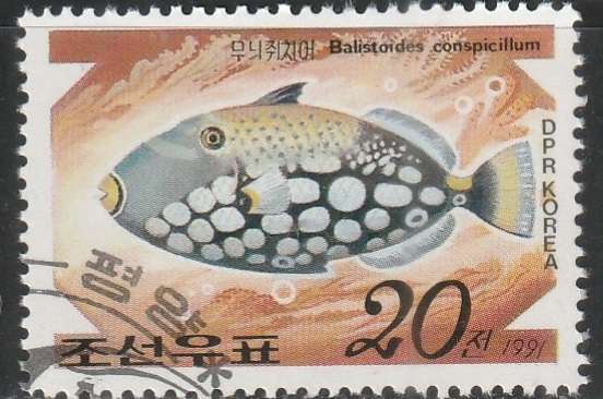 THEMATIC FISH KOREA ULH