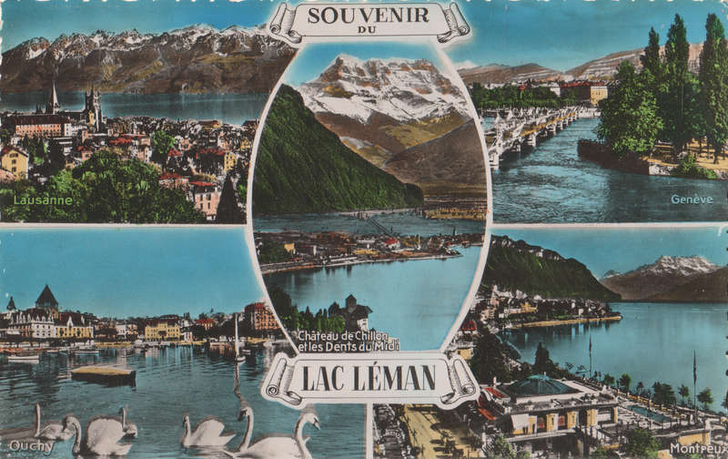 MINT POST CARD