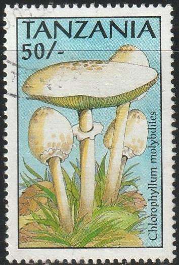 TANZANIA 1993 Fungi VFU SG 1521