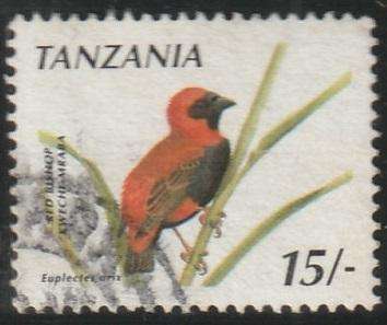 THEMATIC BIRDS TANZANIA VFU